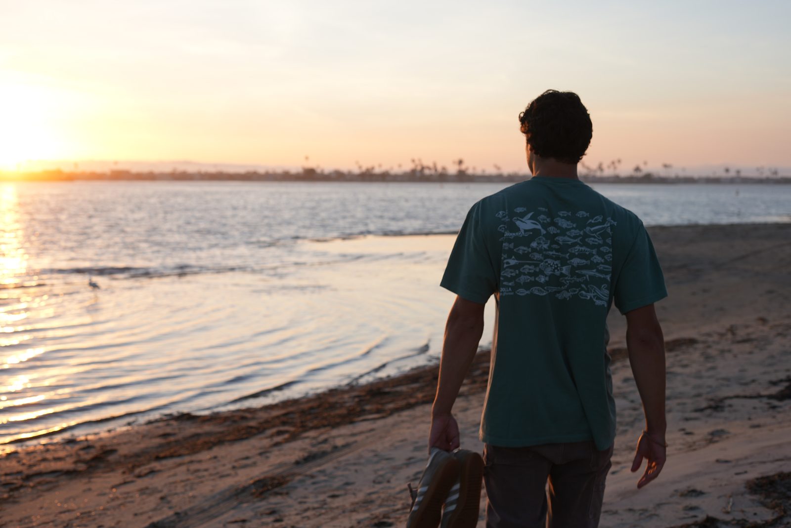 Will Jordan walking along Mission Bay beach at sunset